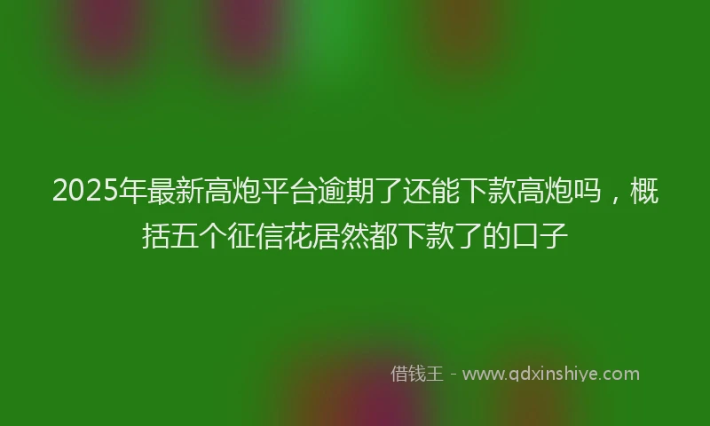 2025年最新高炮平台逾期了还能下款高炮吗，概括五个征信花居然都下款了的口子