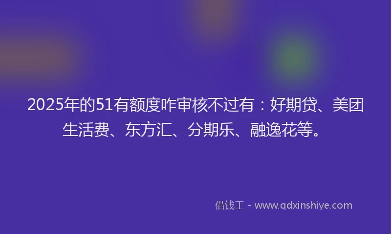2025年的51有额度咋审核不过有：好期贷、美团生活费、东方汇、分期乐、融逸花等。