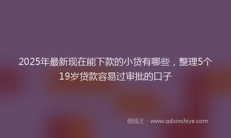 2025年最新现在能下款的小贷有哪些，整理5个19岁贷款容易过审批的口子