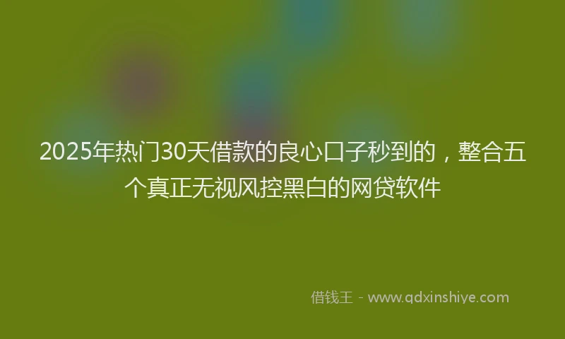 2025年热门30天借款的良心口子秒到的，整合五个真正无视风控黑白的网贷软件
