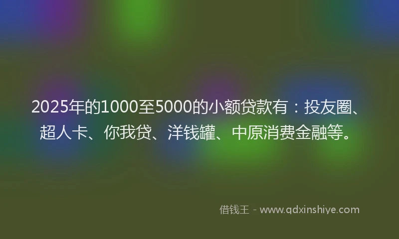 2025年的1000至5000的小额贷款有：投友圈、超人卡、你我贷、洋钱罐、中原消费金融等。
