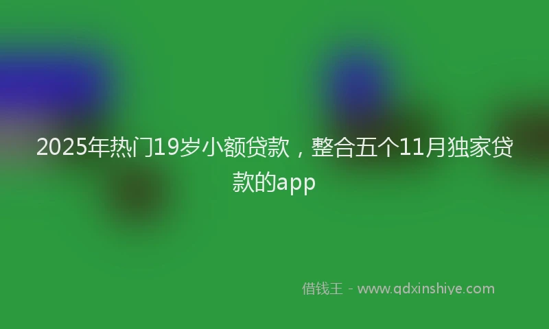2025年热门19岁小额贷款，整合五个11月独家贷款的app