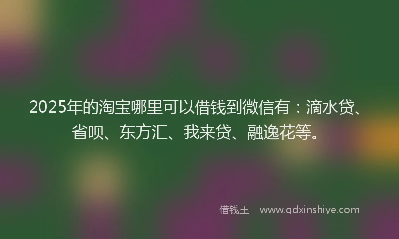 2025年的淘宝哪里可以借钱到微信有：滴水贷、省呗、东方汇、我来贷、融逸花等。