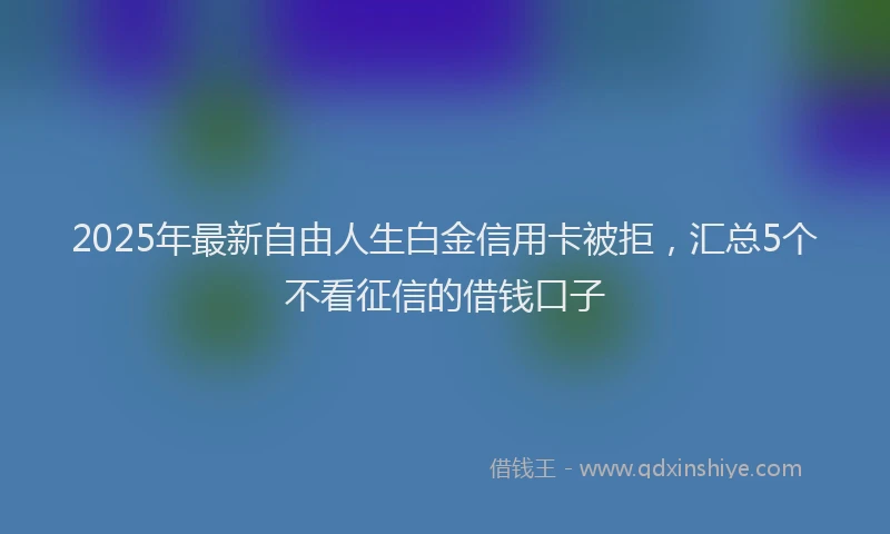 2025年最新自由人生白金信用卡被拒，汇总5个不看征信的借钱口子