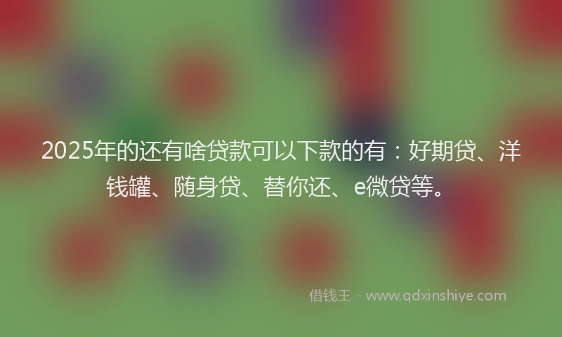2025年的还有啥贷款可以下款的有：好期贷、洋钱罐、随身贷、替你还、e微贷等。