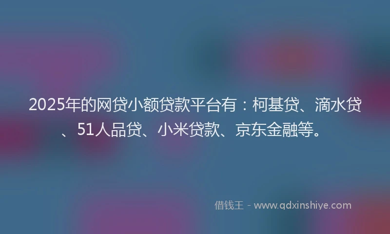 2025年的网贷小额贷款平台有：柯基贷、滴水贷、51人品贷、小米贷款、京东金融等。
