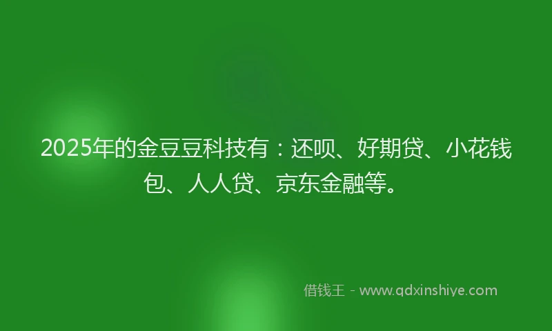 2025年的金豆豆科技有：还呗、好期贷、小花钱包、人人贷、京东金融等。