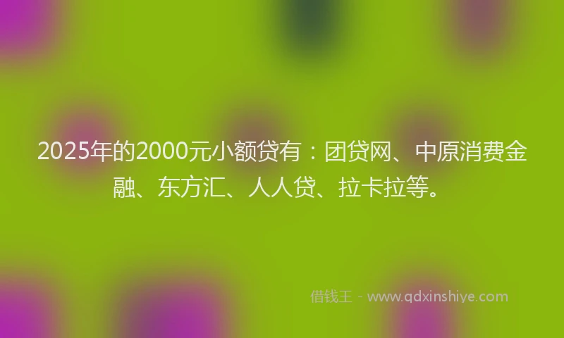 2025年的2000元小额贷有：团贷网、中原消费金融、东方汇、人人贷、拉卡拉等。