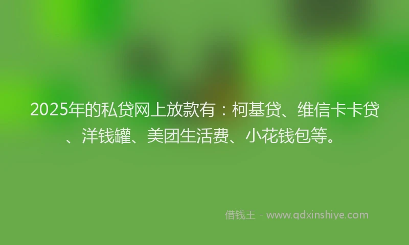 2025年的私贷网上放款有：柯基贷、维信卡卡贷、洋钱罐、美团生活费、小花钱包等。
