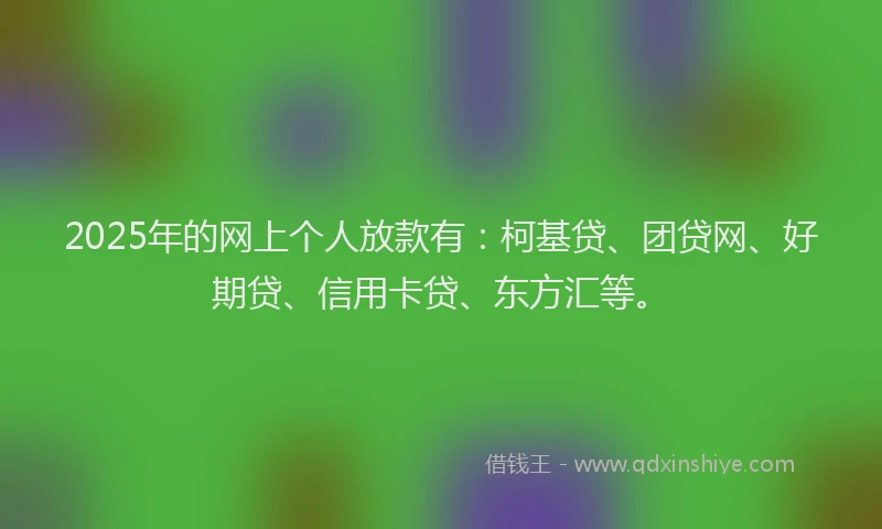 2025年的网上个人放款有：柯基贷、团贷网、好期贷、信用卡贷、东方汇等。