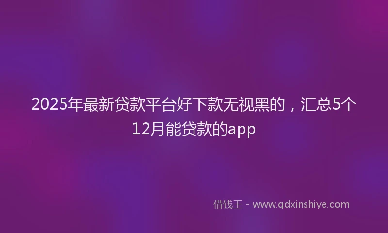 2025年最新贷款平台好下款无视黑的，汇总5个12月能贷款的app