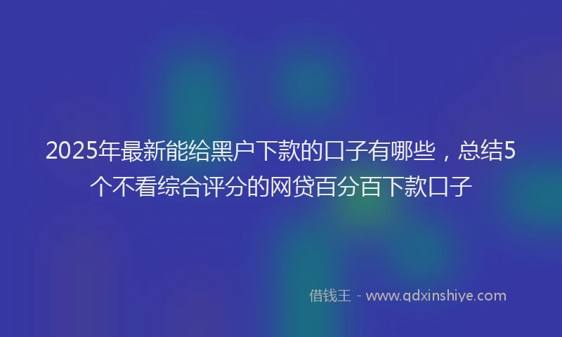 2025年最新能给黑户下款的口子有哪些，总结5个不看综合评分的网贷百分百下款口子