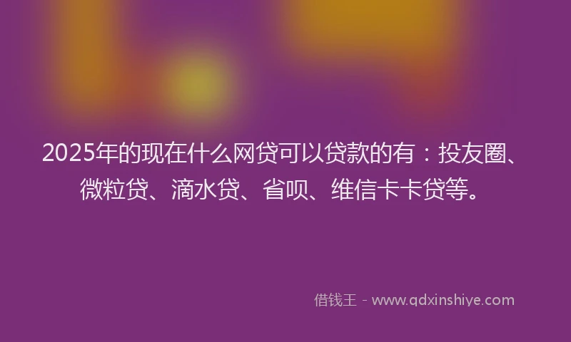 2025年的现在什么网贷可以贷款的有：投友圈、微粒贷、滴水贷、省呗、维信卡卡贷等。
