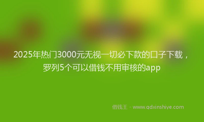 2025年热门3000元无视一切必下款的口子下载，罗列5个可以借钱不用审核的app