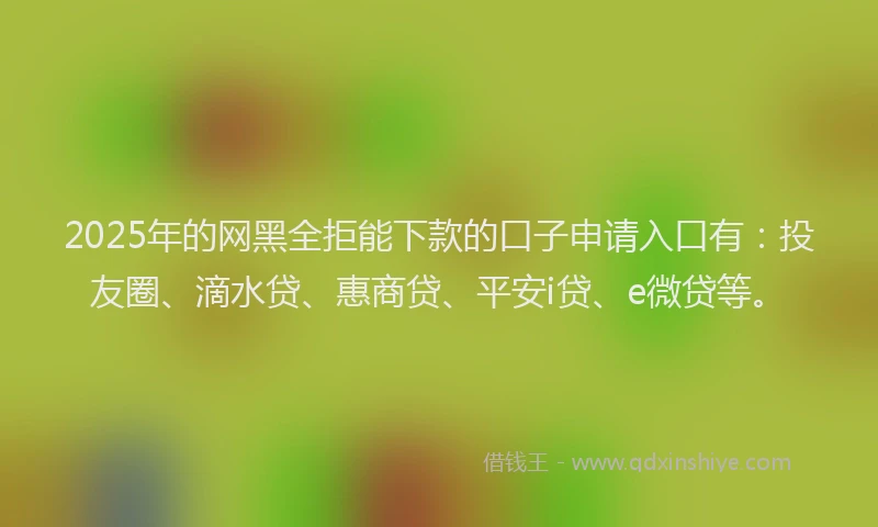 2025年的网黑全拒能下款的口子申请入口有：投友圈、滴水贷、惠商贷、平安i贷、e微贷等。