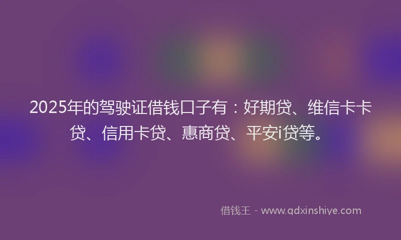 2025年的驾驶证借钱口子有：好期贷、维信卡卡贷、信用卡贷、惠商贷、平安i贷等。