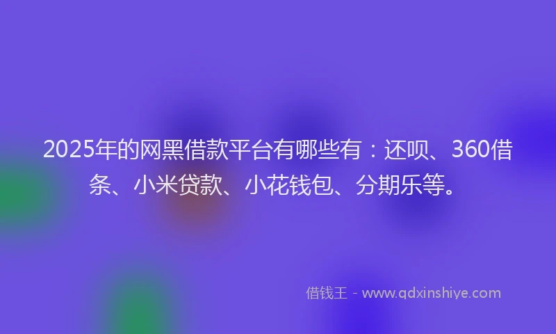 2025年的网黑借款平台有哪些有：还呗、360借条、小米贷款、小花钱包、分期乐等。