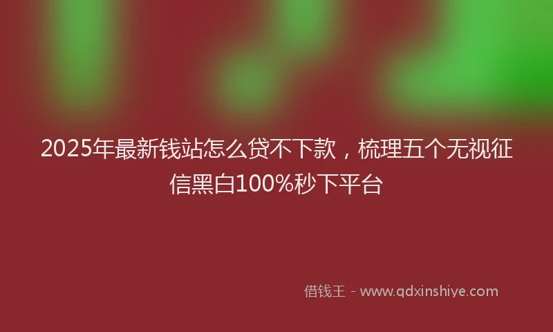 2025年最新钱站怎么贷不下款，梳理五个无视征信黑白100%秒下平台