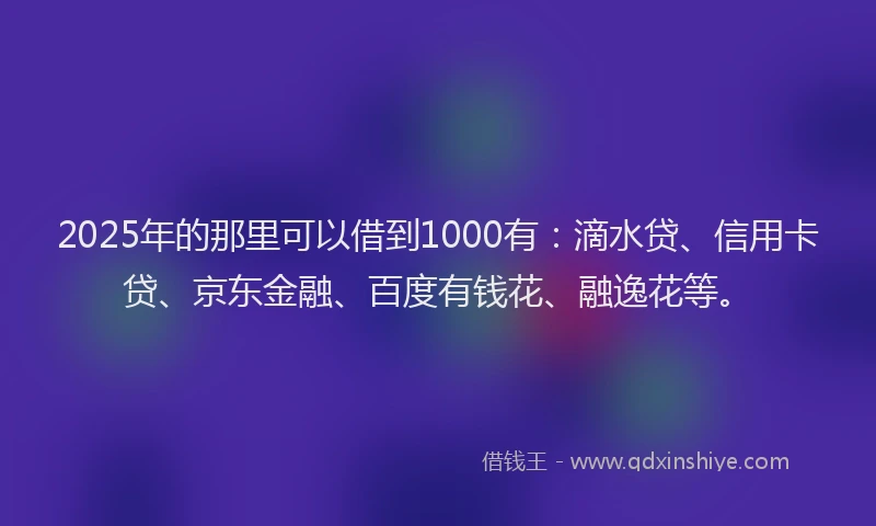 2025年的那里可以借到1000有：滴水贷、信用卡贷、京东金融、百度有钱花、融逸花等。