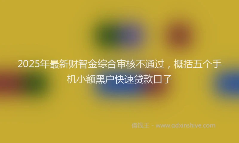 2025年最新财智金综合审核不通过，概括五个手机小额黑户快速贷款口子