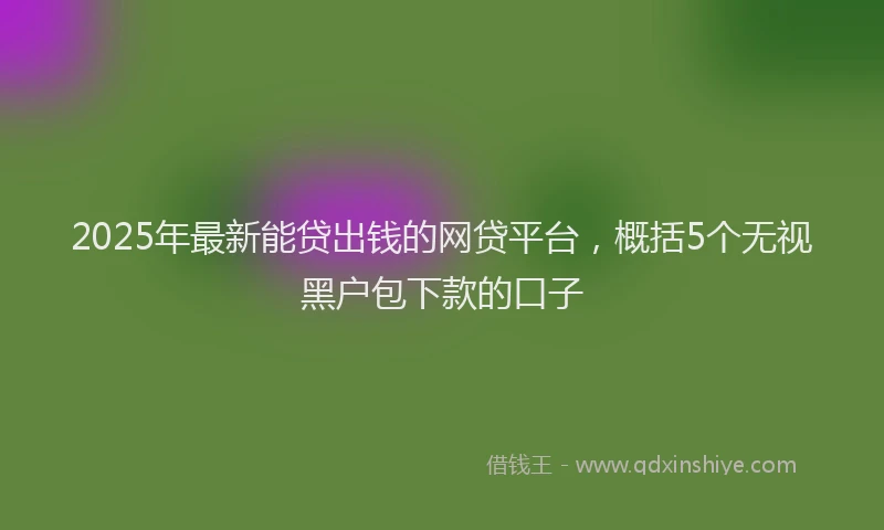 2025年最新能贷出钱的网贷平台，概括5个无视黑户包下款的口子