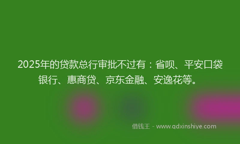 2025年的贷款总行审批不过有：省呗、平安口袋银行、惠商贷、京东金融、安逸花等。