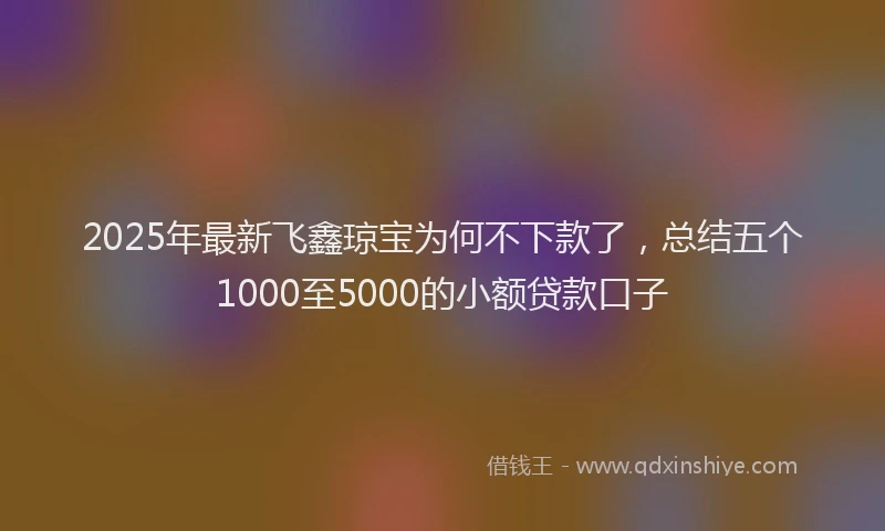 2025年最新飞鑫琼宝为何不下款了，总结五个1000至5000的小额贷款口子