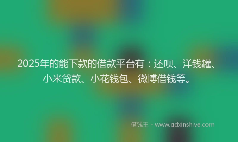 2025年的能下款的借款平台有：还呗、洋钱罐、小米贷款、小花钱包、微博借钱等。