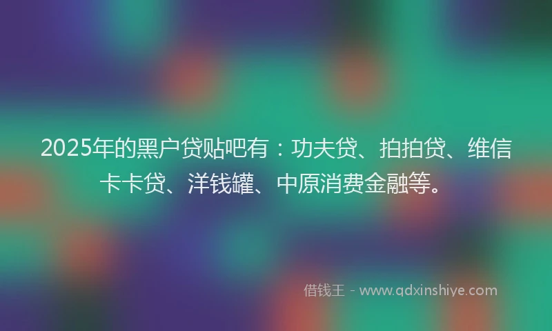 2025年的黑户贷贴吧有：功夫贷、拍拍贷、维信卡卡贷、洋钱罐、中原消费金融等。