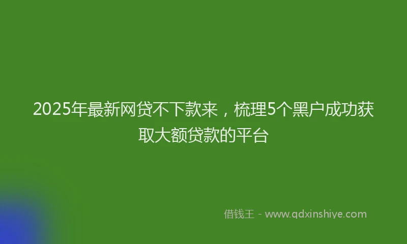 2025年最新网贷不下款来，梳理5个黑户成功获取大额贷款的平台