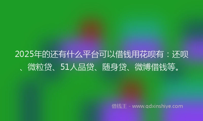 2025年的还有什么平台可以借钱用花呗有：还呗、微粒贷、51人品贷、随身贷、微博借钱等。