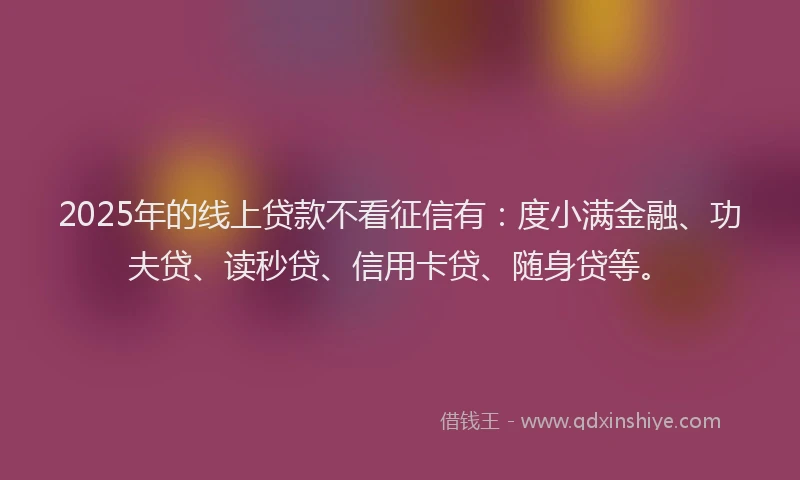 2025年的线上贷款不看征信有：度小满金融、功夫贷、读秒贷、信用卡贷、随身贷等。
