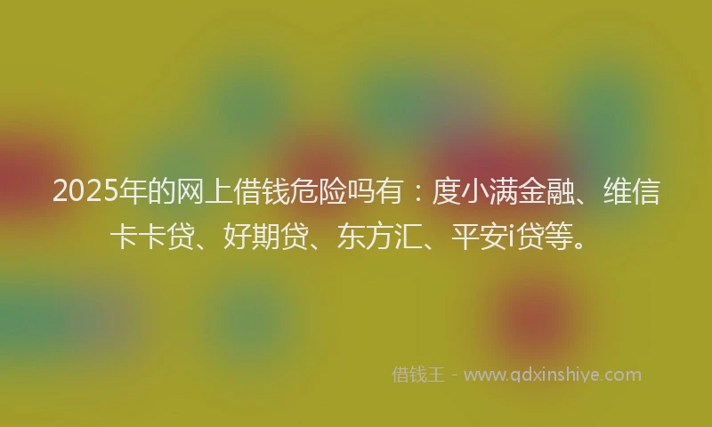 2025年的网上借钱危险吗有：度小满金融、维信卡卡贷、好期贷、东方汇、平安i贷等。