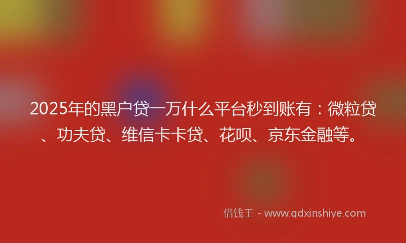 2025年的黑户贷一万什么平台秒到账有：微粒贷、功夫贷、维信卡卡贷、花呗、京东金融等。