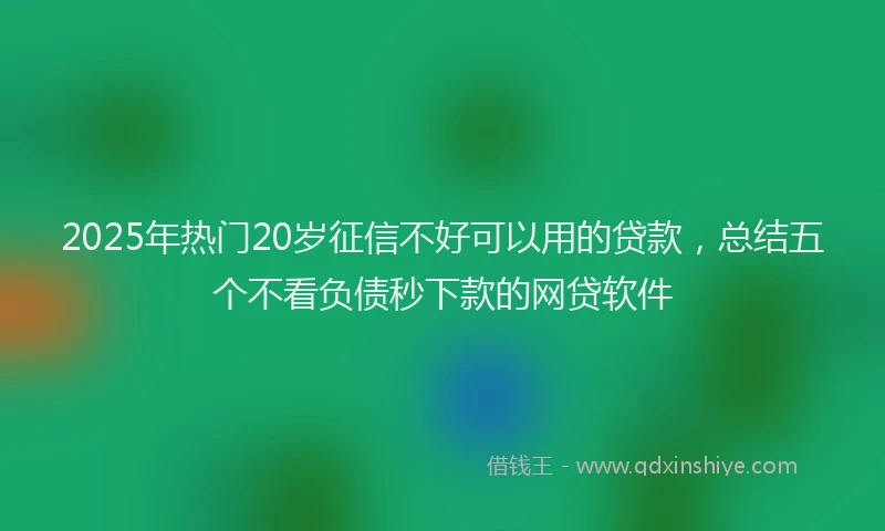 2025年热门20岁征信不好可以用的贷款，总结五个不看负债秒下款的网贷软件