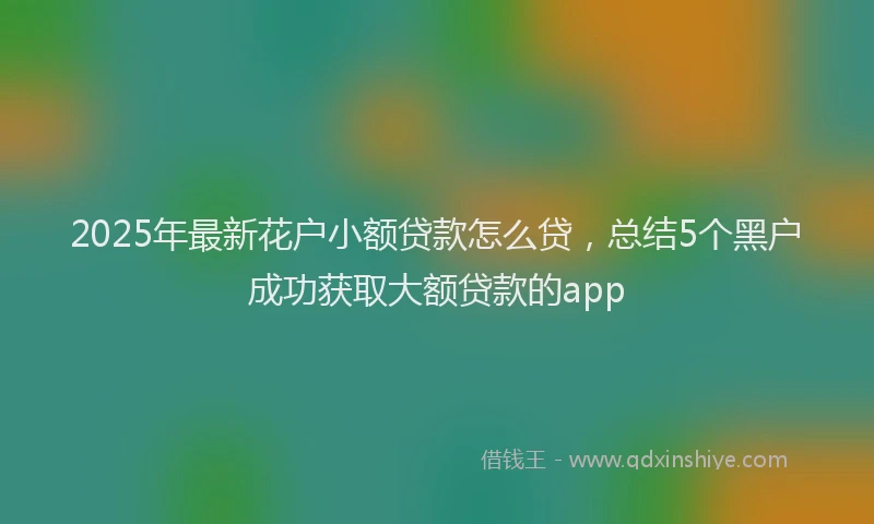 2025年最新花户小额贷款怎么贷，总结5个黑户成功获取大额贷款的app