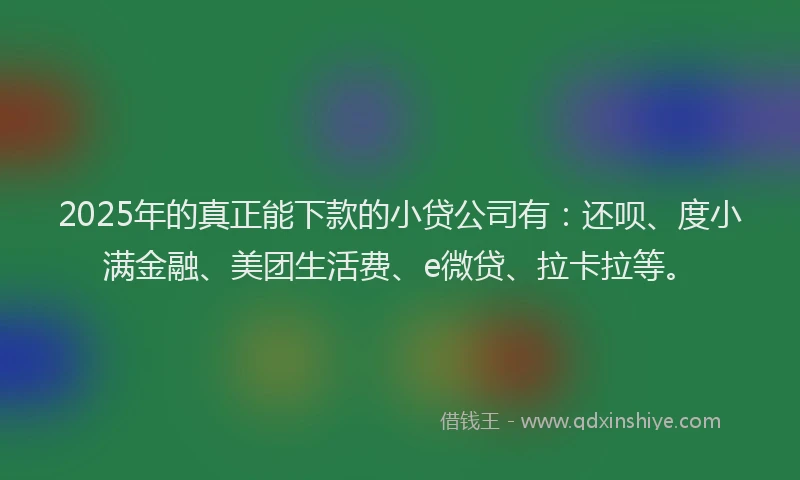 2025年的真正能下款的小贷公司有：还呗、度小满金融、美团生活费、e微贷、拉卡拉等。