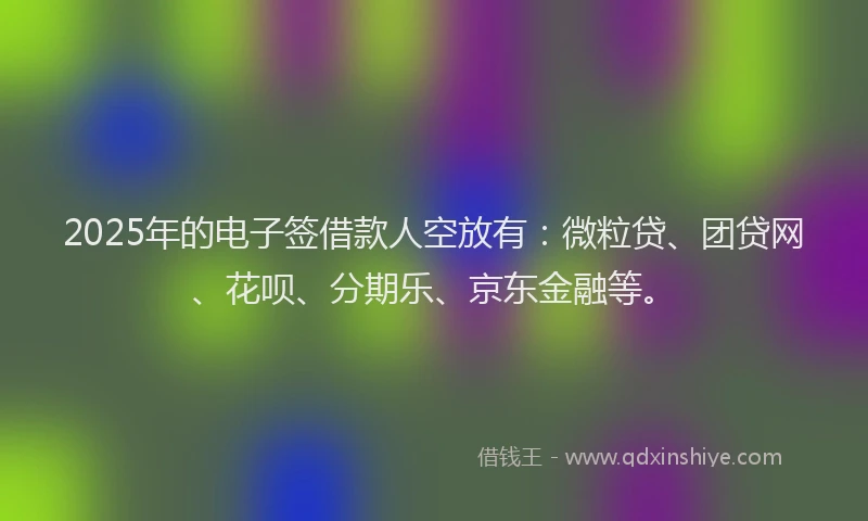 2025年的电子签借款人空放有：微粒贷、团贷网、花呗、分期乐、京东金融等。
