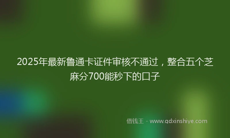 2025年最新鲁通卡证件审核不通过，整合五个芝麻分700能秒下的口子