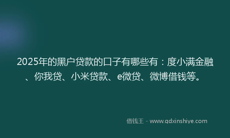2025年的黑户贷款的口子有哪些有：度小满金融、你我贷、小米贷款、e微贷、微博借钱等。