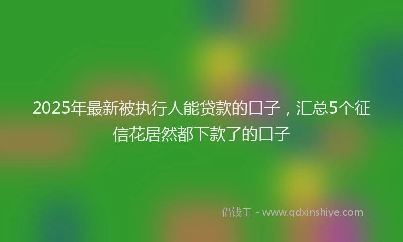 2025年最新被执行人能贷款的口子，汇总5个征信花居然都下款了的口子