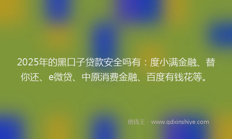2025年的黑口子贷款安全吗有：度小满金融、替你还、e微贷、中原消费金融、百度有钱花等。