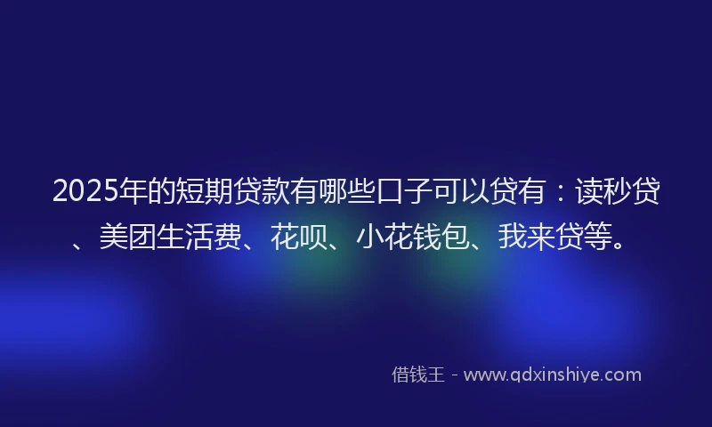 2025年的短期贷款有哪些口子可以贷有：读秒贷、美团生活费、花呗、小花钱包、我来贷等。
