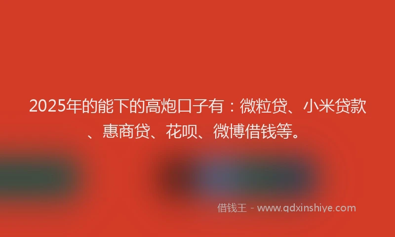 2025年的能下的高炮口子有：微粒贷、小米贷款、惠商贷、花呗、微博借钱等。