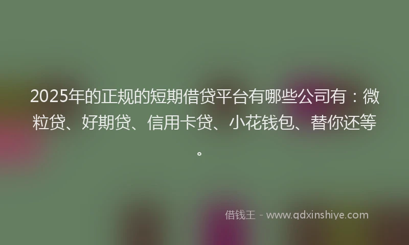 2025年的正规的短期借贷平台有哪些公司有：微粒贷、好期贷、信用卡贷、小花钱包、替你还等。