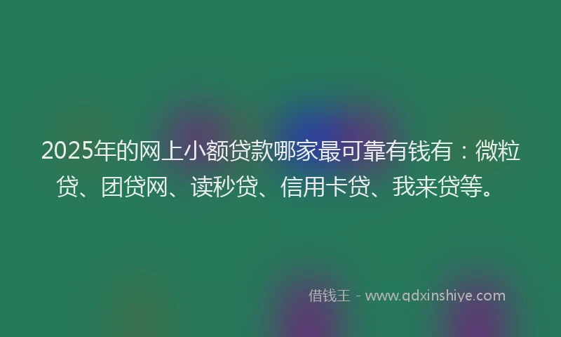2025年的网上小额贷款哪家最可靠有钱有：微粒贷、团贷网、读秒贷、信用卡贷、我来贷等。
