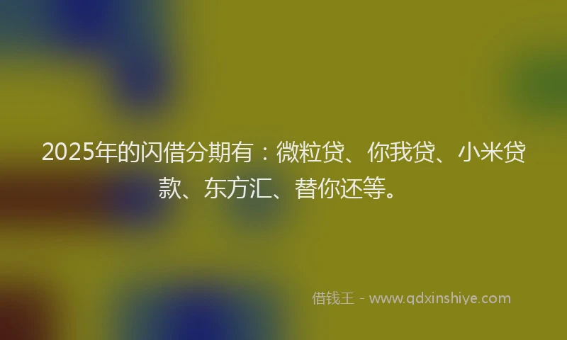 2025年的闪借分期有：微粒贷、你我贷、小米贷款、东方汇、替你还等。