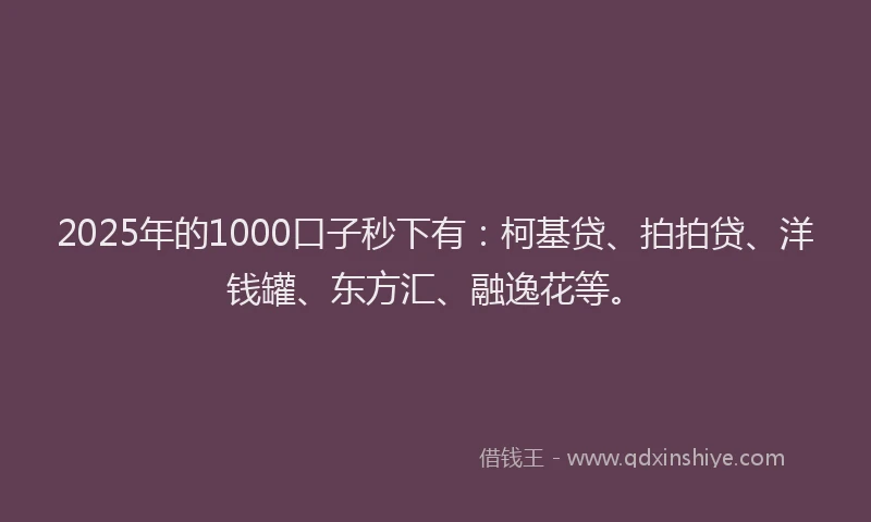 2025年的1000口子秒下有：柯基贷、拍拍贷、洋钱罐、东方汇、融逸花等。