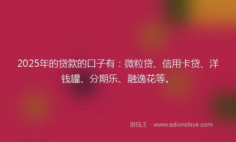 2025年的贷款的口子有：微粒贷、信用卡贷、洋钱罐、分期乐、融逸花等。