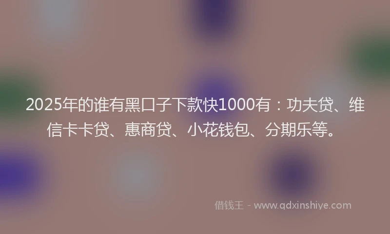 2025年的谁有黑口子下款快1000有：功夫贷、维信卡卡贷、惠商贷、小花钱包、分期乐等。